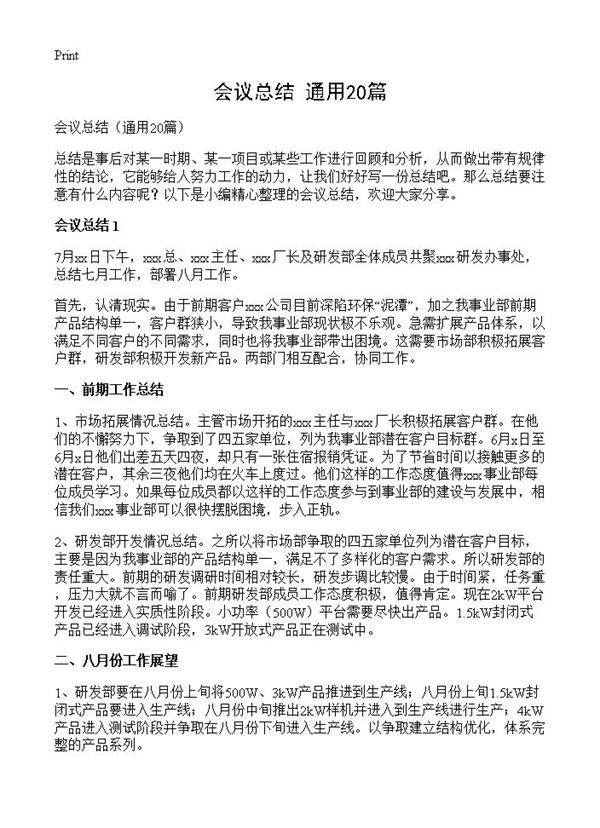 会议总结20篇