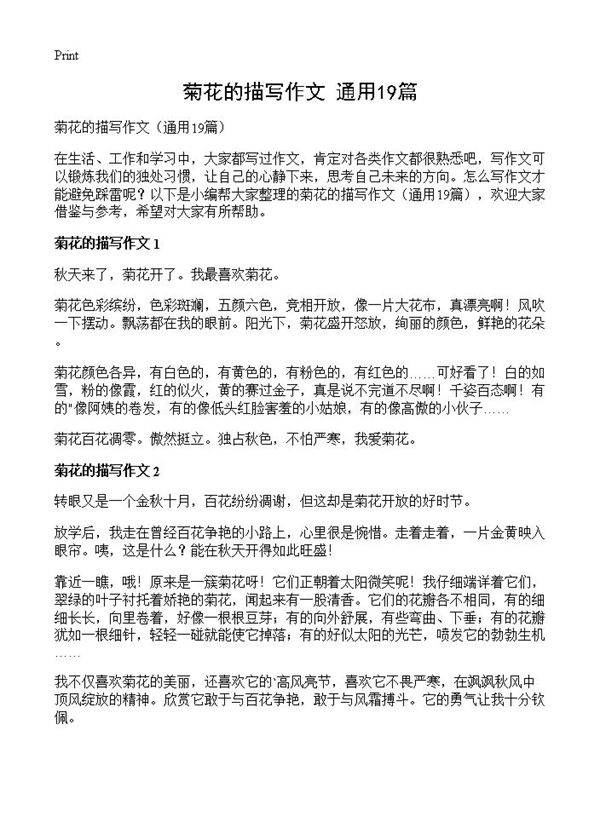 菊花的描写作文19篇