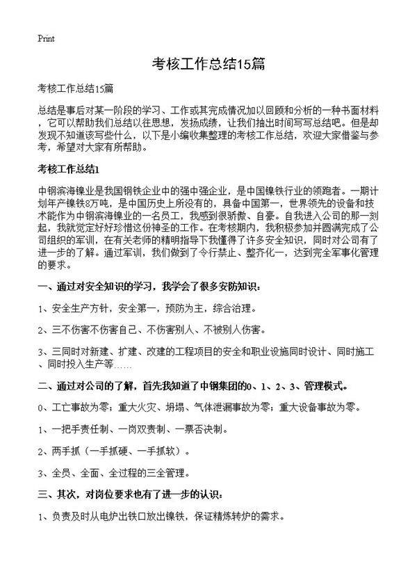 考核工作总结15篇