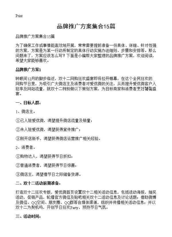 品牌推广方案集合15篇