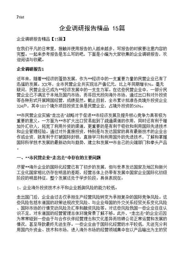 企业调研报告精品