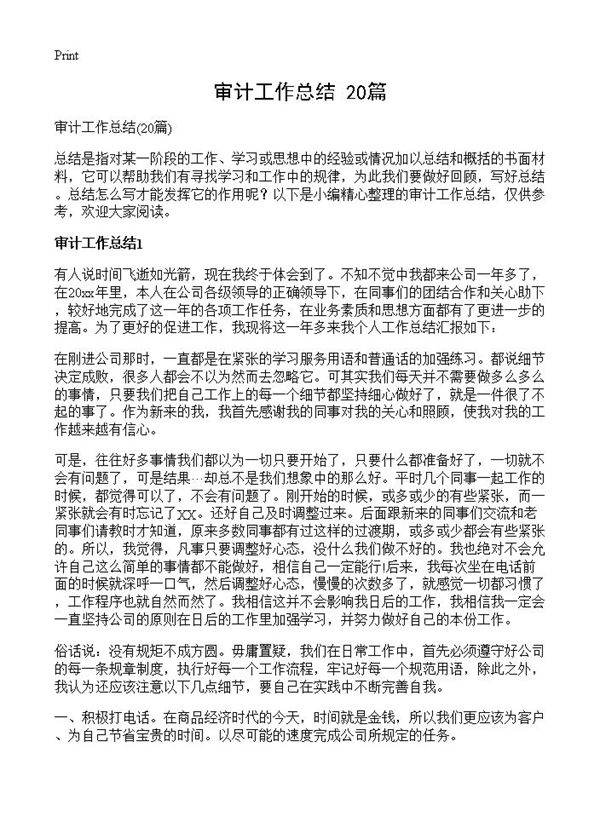 审计工作总结20篇