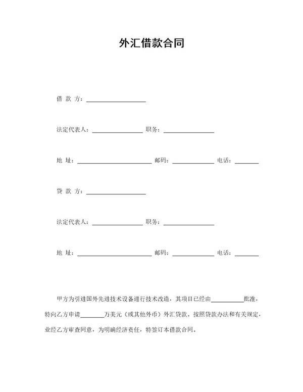 外汇借款合