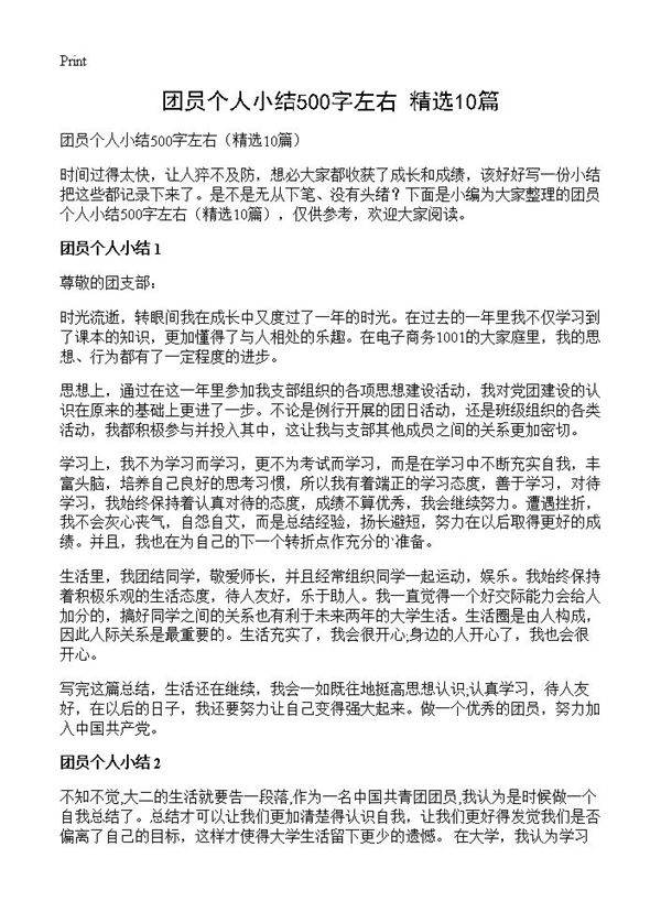 团员个人小结500字左右10篇