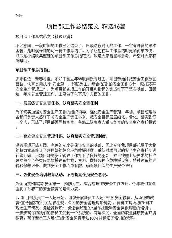 项目部工作总结范文16篇