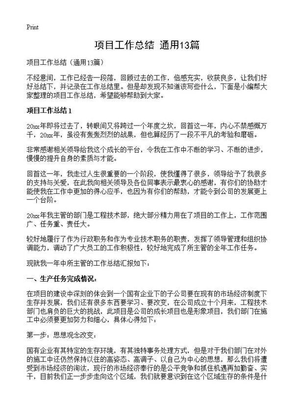项目工作总结13篇