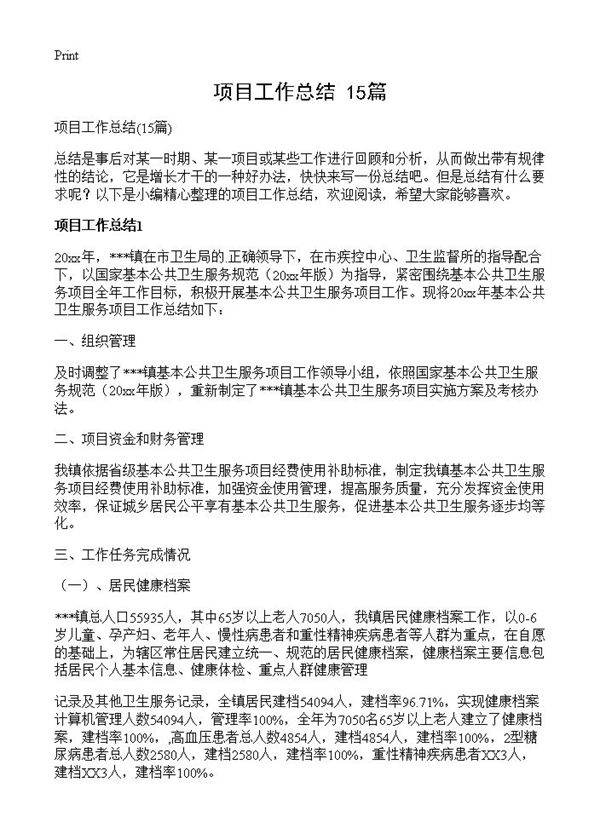 项目工作总结15篇