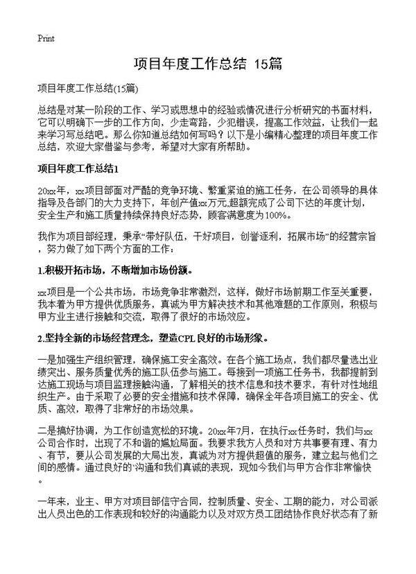 项目年度工作总结15篇