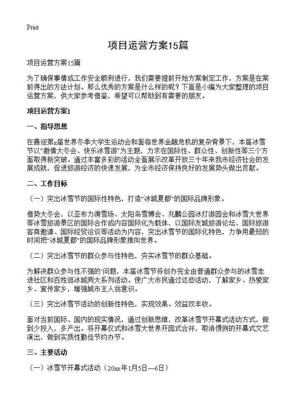 项目运营方案15篇