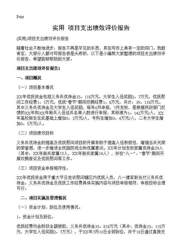 项目支出绩效评价报告