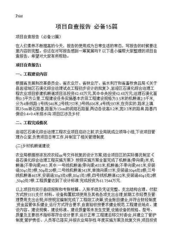 项目自查报告15篇