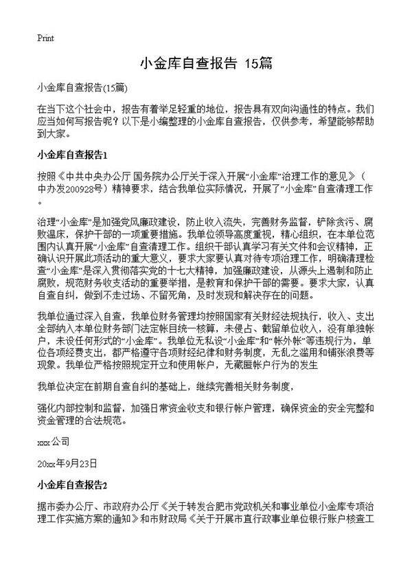 小金库自查报告15篇