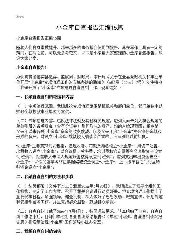 小金库自查报告汇编15篇