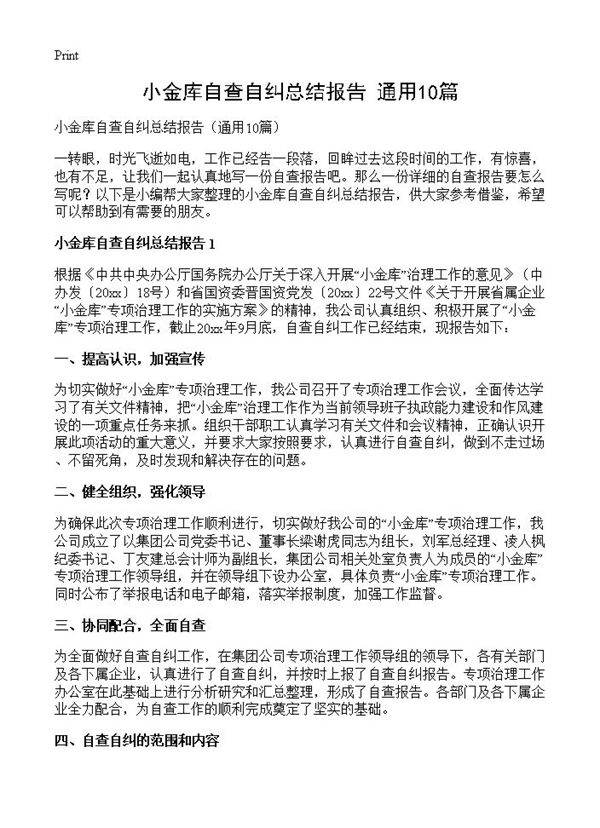 小金库自查自纠总结报告10篇