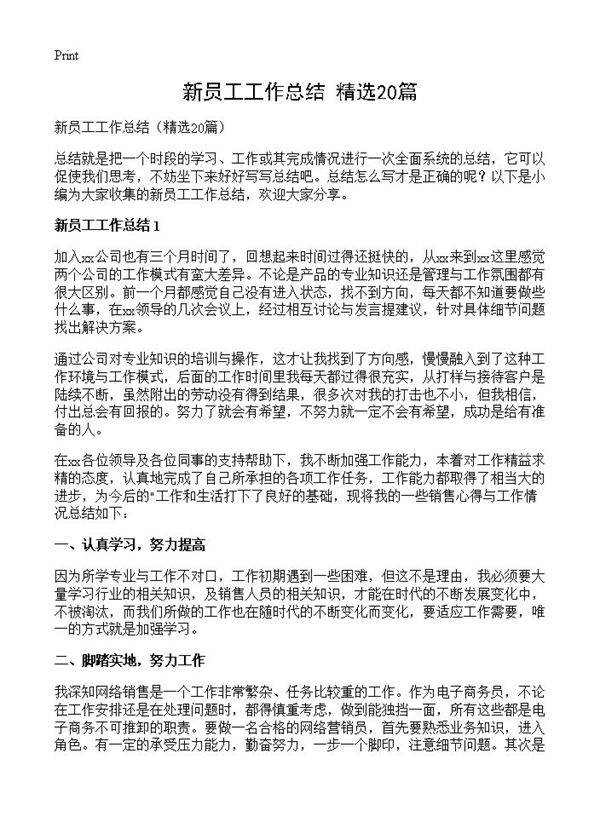 新员工工作总结20篇