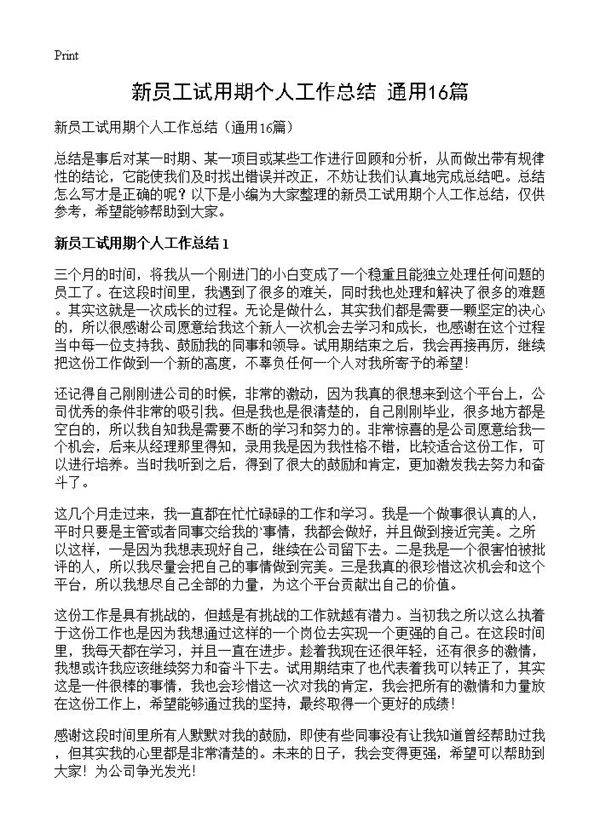 新员工试用期个人工作总结16篇
