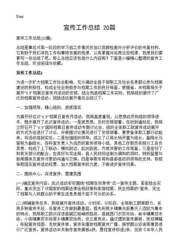 宣传工作总结20篇