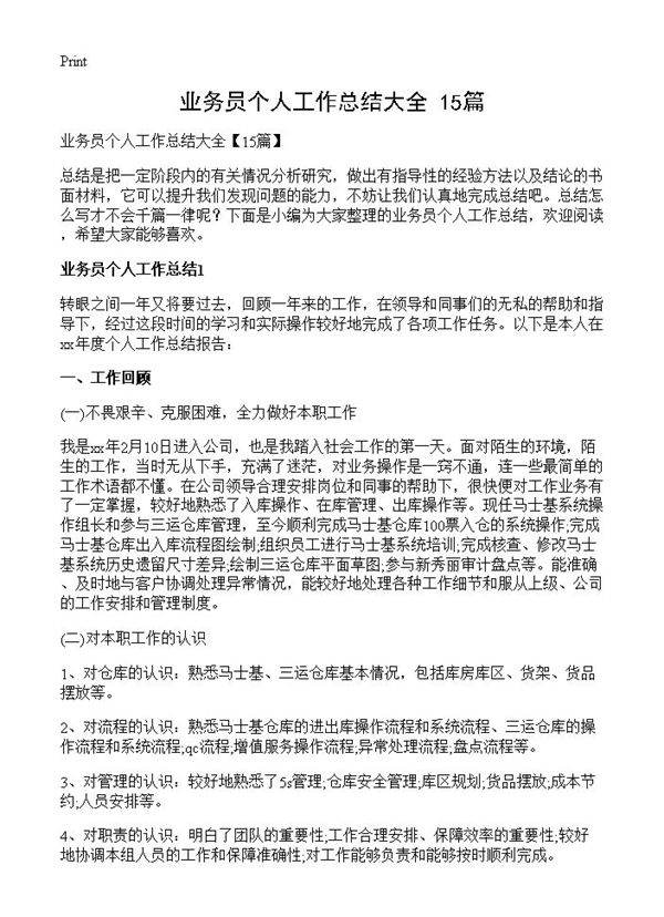 业务员个人工作总结大全