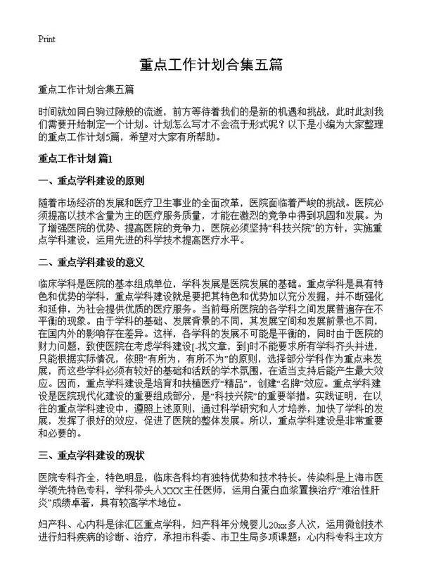 重点工作计划合集五篇