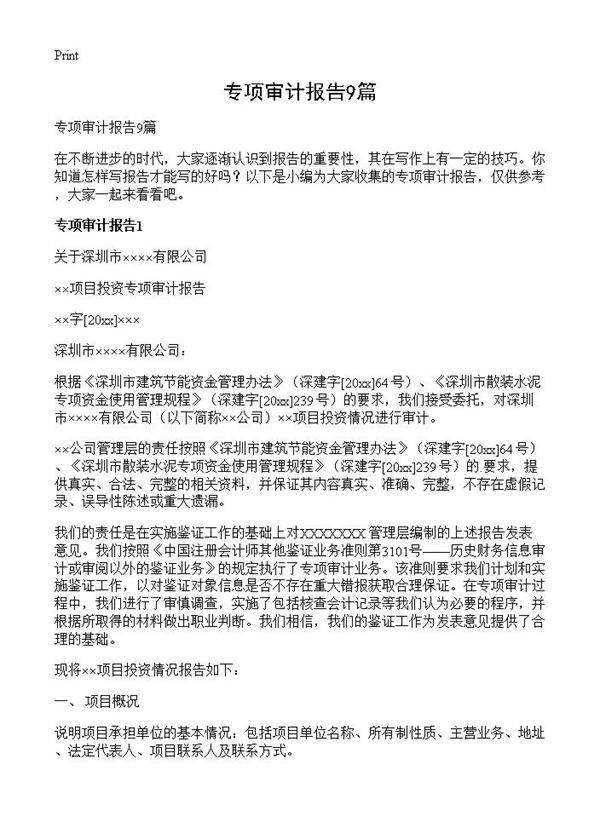 专项审计报告9篇