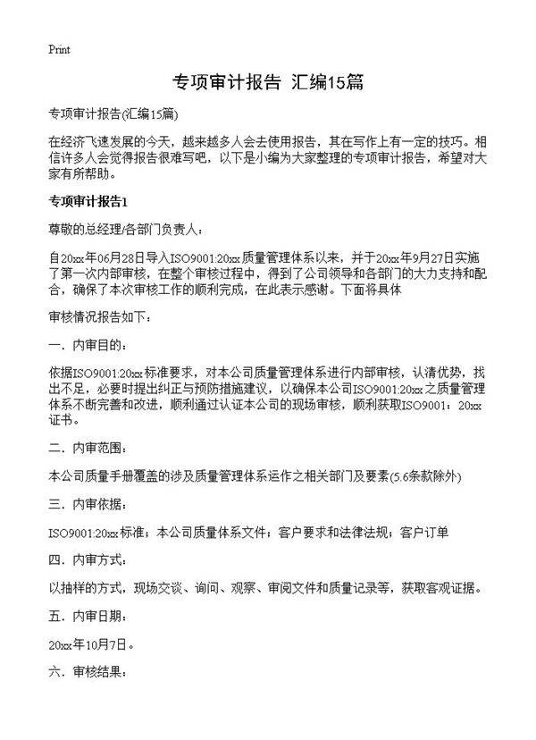 专项审计报告15篇