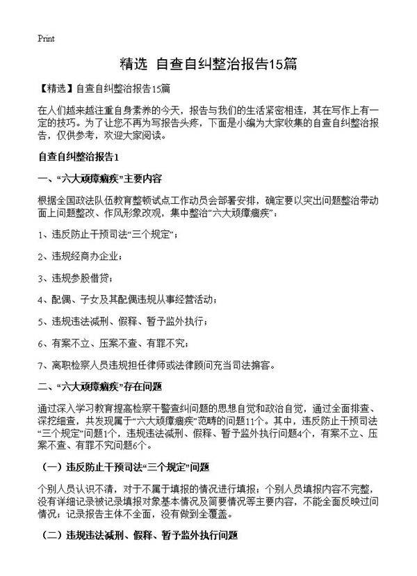 自查自纠整治报告15篇