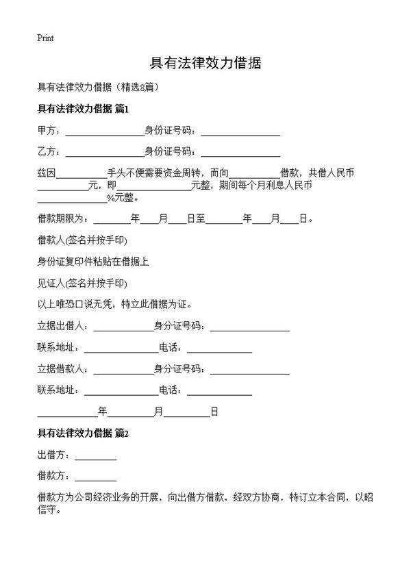 具有法律效力借据8篇