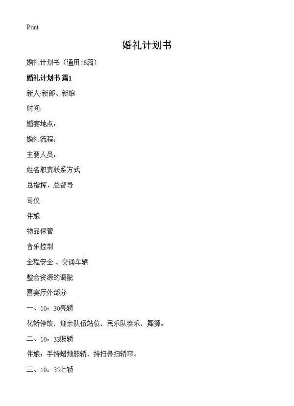 婚礼计划书16篇