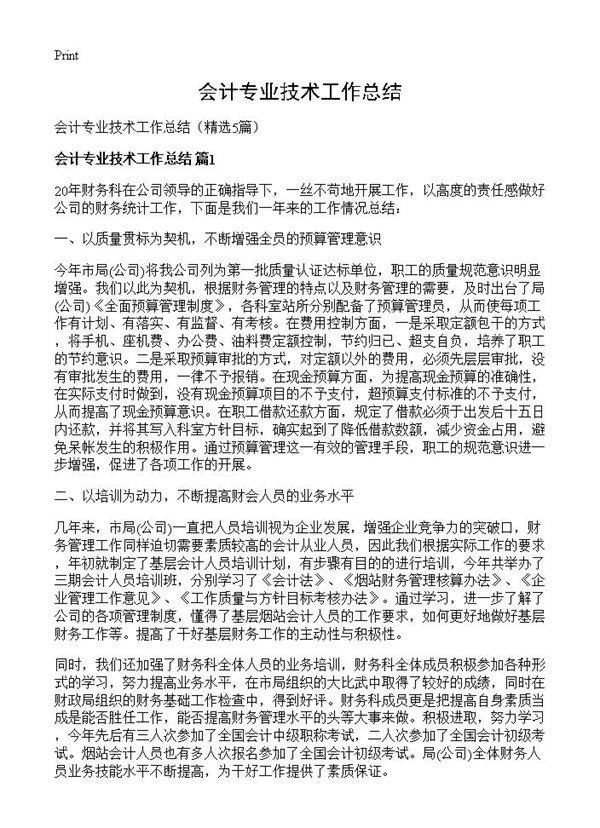 会计专业技术工作总结5篇