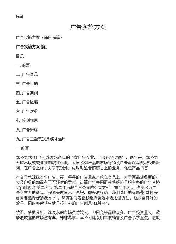 广告实施方案20篇
