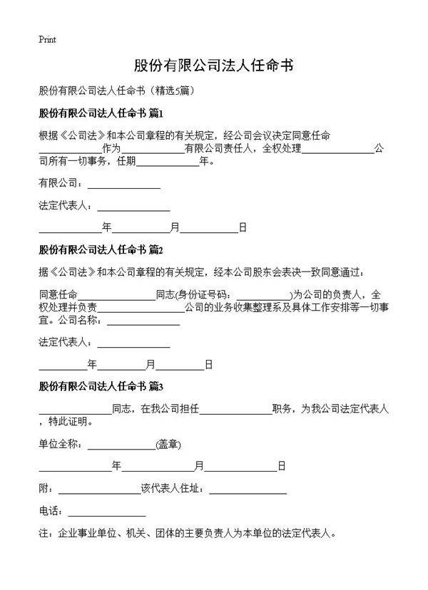股份有限公司法人任命书5篇