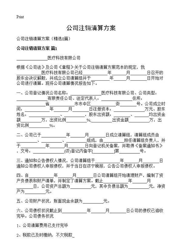 公司注销清算方案8篇