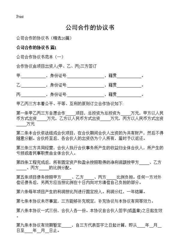 公司合作的协议书20篇