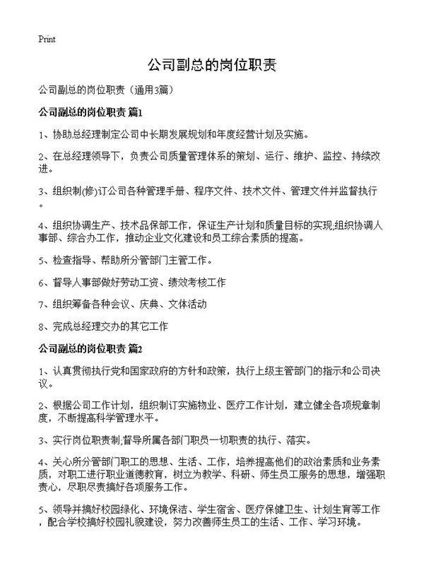 公司副总的岗位职责3篇