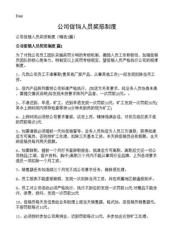 公司促销人员奖惩制度3篇