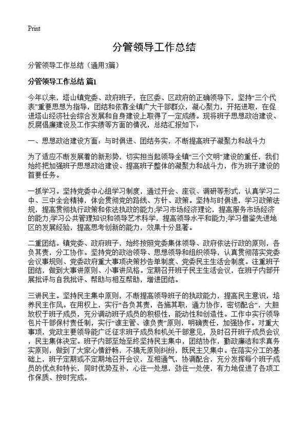 分管领导工作总结3篇