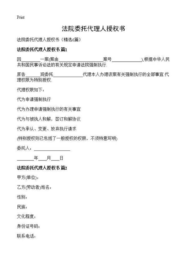 法院委托代理人授权书6篇