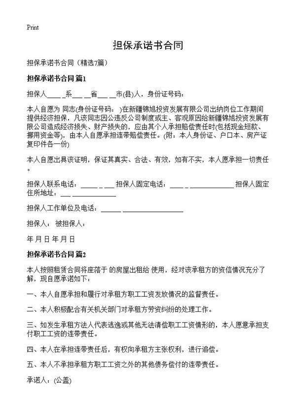 担保承诺书合同7篇