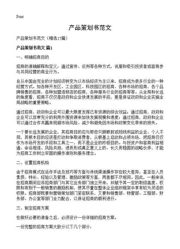 产品策划书范文17篇