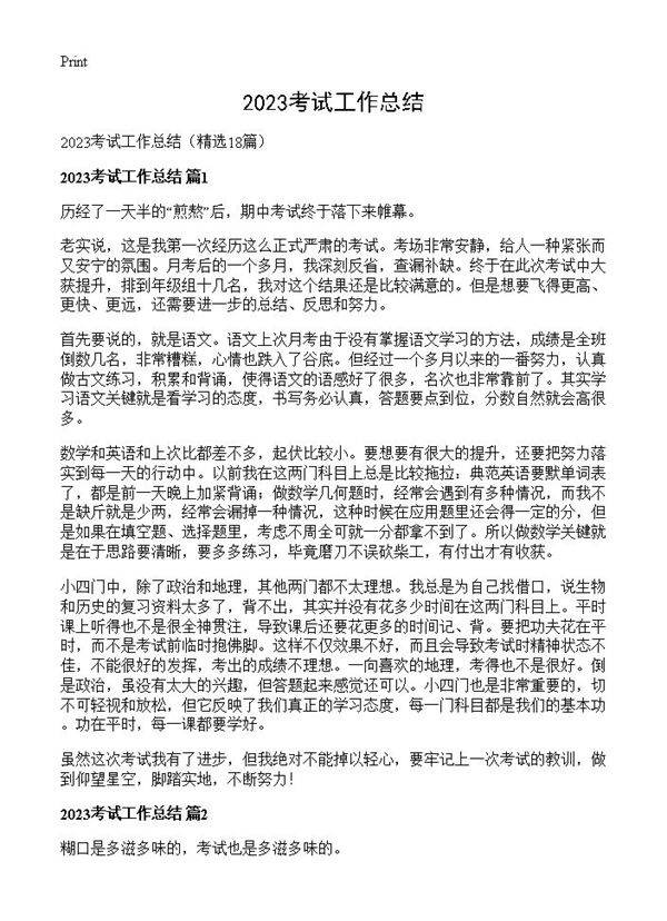 2023考试工作总结18篇