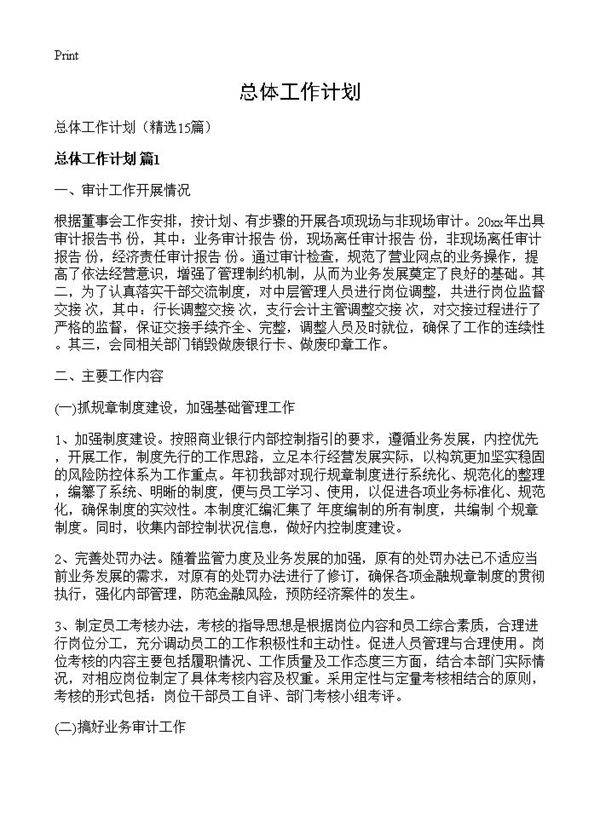 总体工作计划15篇