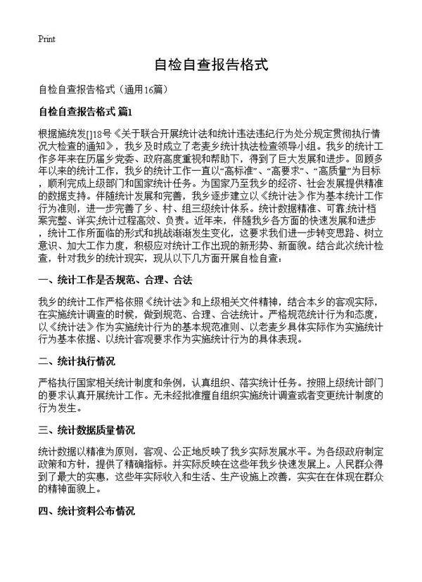 自检自查报告格式16篇