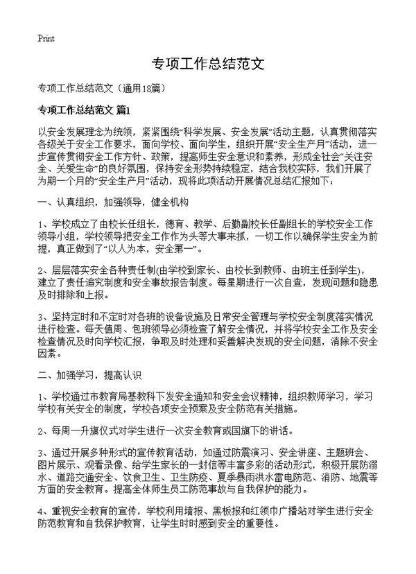 专项工作总结范文18篇