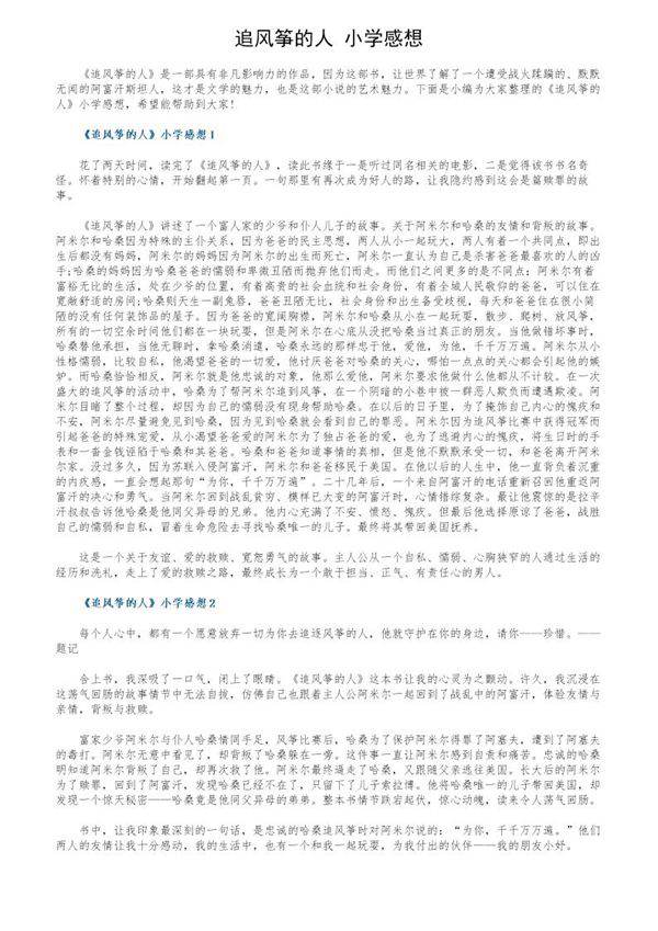 《追风筝的人》小学感想