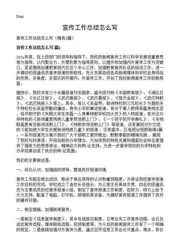 宣传工作总结怎么写5篇