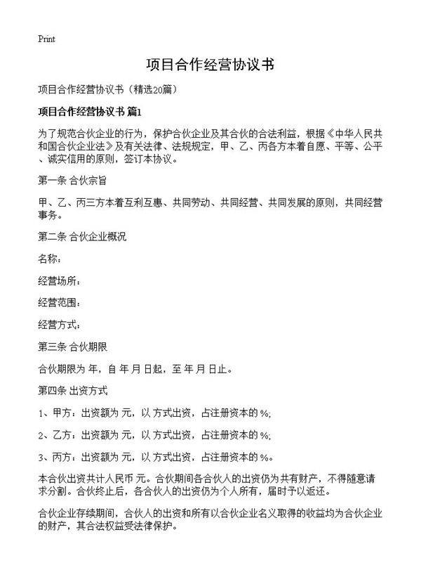 项目合作经营协议书20篇