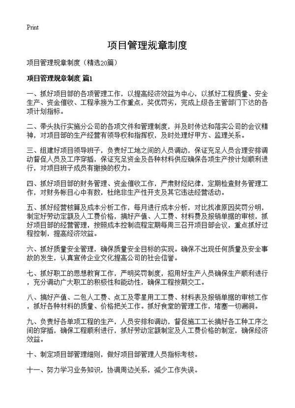 项目管理规章制度20篇