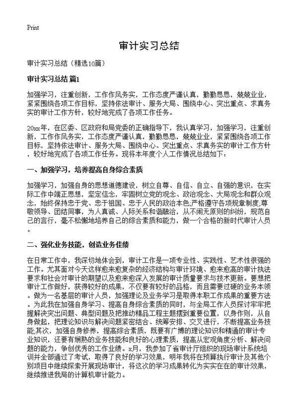 审计实习总结10篇