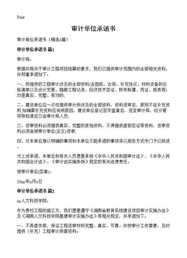 审计单位承诺书6篇