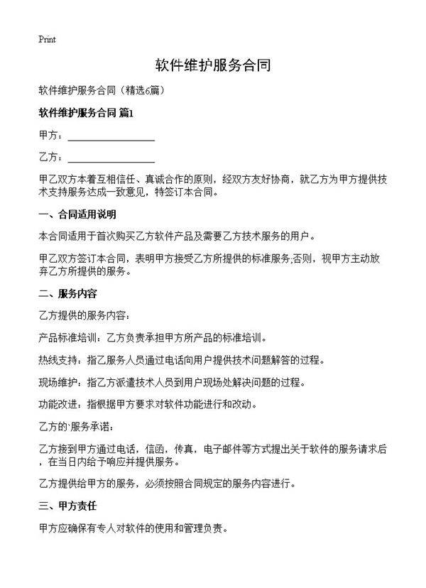 软件维护服务合同6篇